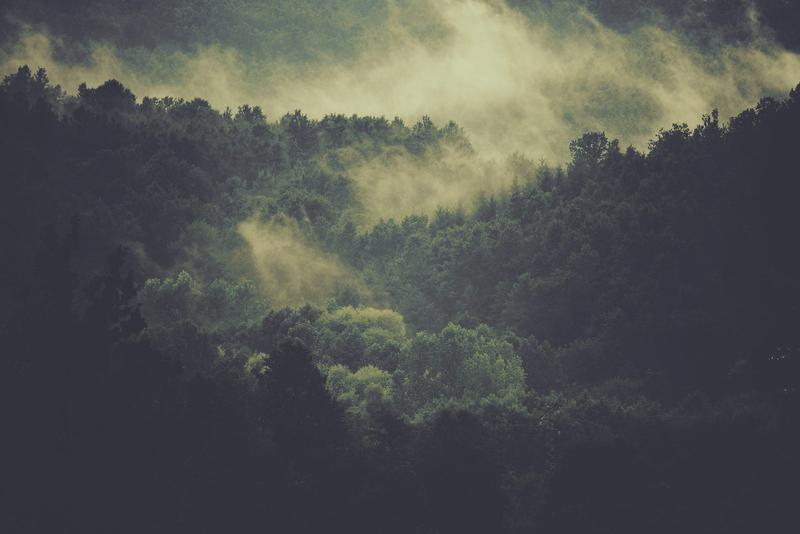 wallpaper
