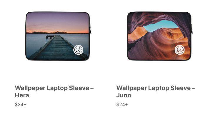 Laptop Sleeves